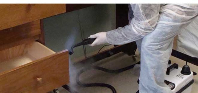 man spraying bed bug