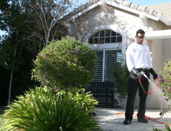 man watering