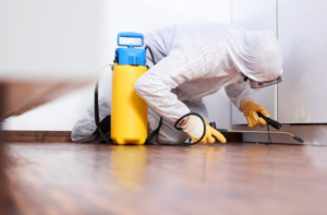 pest control checmicals